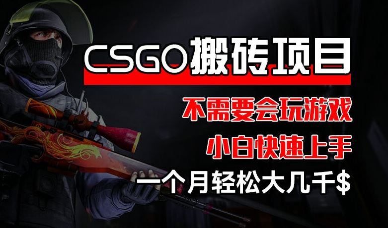 CSGO 装备搬砖项目，操作简单，不需要会玩游戏，小白也能快速上手，一个月轻松大几千【揭秘】-玩备项目资源网