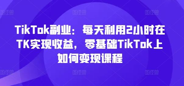 TikTok副业：每天利用2小时在TK实现收益，零基础TikTok上如何变现课程-玩备项目资源网