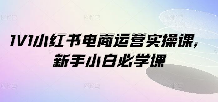 1V1小红书电商运营实操课，新手小白必学课-玩备项目资源网