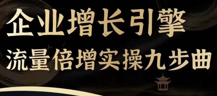 企业增长引擎流量倍增实操九步曲，一套课程帮你找到快速、简单、有效、可复制的获客+变现方式，-玩备项目资源网