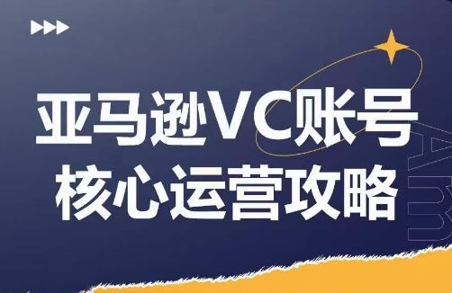 亚马逊VC账号核心玩法解析，实战经验拆解产品模块运营技巧，提升店铺GMV，有效提升运营利润-玩备项目资源网