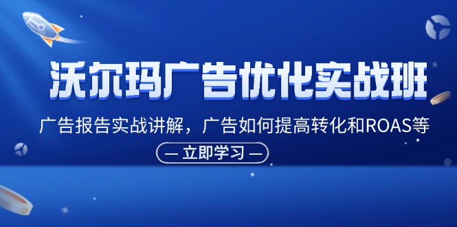 （11847期）沃尔玛广告优化实战班，广告报告实战讲解，广告如何提高转化和ROAS等-玩备项目资源网