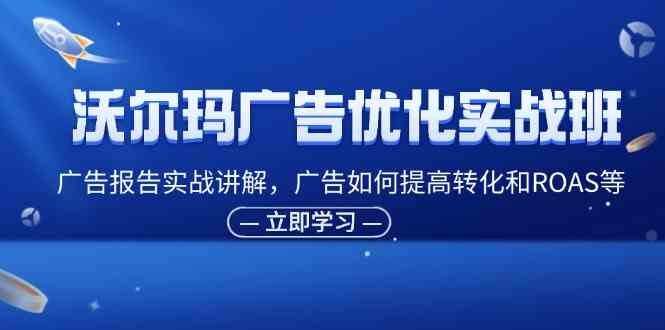 沃尔玛广告优化实战班，广告报告实战讲解，广告如何提高转化和ROAS等-玩备项目资源网