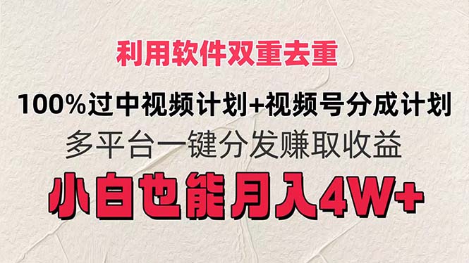 （11862期）利用软件双重去重，100%过中视频+视频号分成计划小白也可以月入4W+-玩备项目资源网