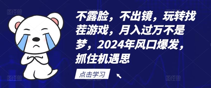 不露脸，不出镜，玩转找茬游戏，月入过万不是梦，2024年风口爆发，抓住机遇【揭秘】-玩备项目资源网