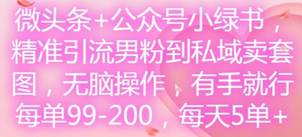 微头条+公众号小绿书，精准引流男粉到私域卖套图，无脑操作，有手就行，每单99-200，每天5单-玩备项目资源网