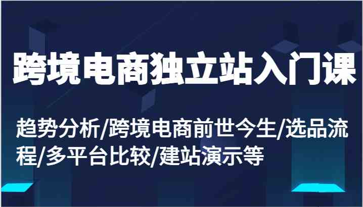 跨境电商独立站入门课：趋势分析/跨境电商前世今生/选品流程/多平台比较/建站演示等-玩备项目资源网