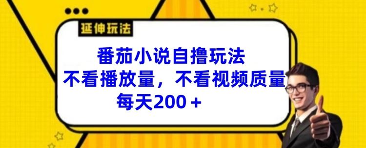 番茄小说自撸玩法，不看播放量，不看视频质量，每天200+【揭秘】-玩备项目资源网
