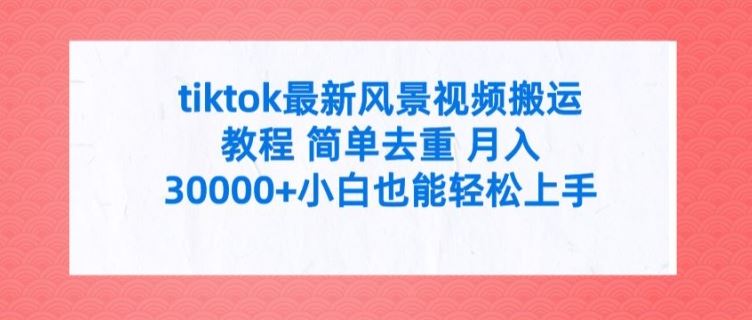 tiktok最新风景视频搬运教程 简单去重 月入3W+小白也能轻松上手【揭秘】-玩备项目资源网