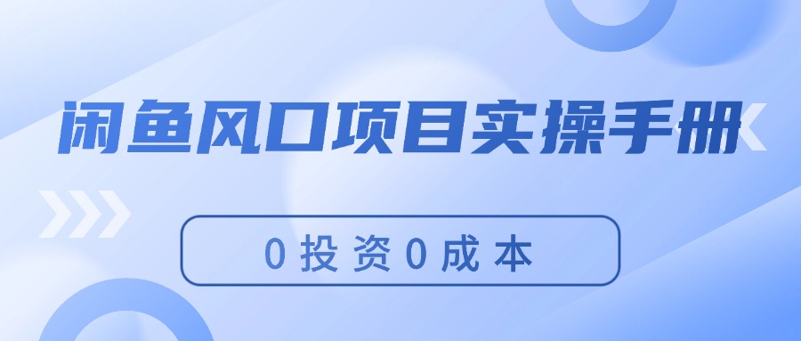 （11923期）闲鱼风口项目实操手册，0投资0成本，让你做到，月入过万，新手可做-玩备项目资源网
