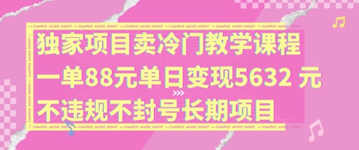 独家项目卖冷门教学课程一单88元单日变现5632元违规不封号长期项目【揭秘】-玩备项目资源网