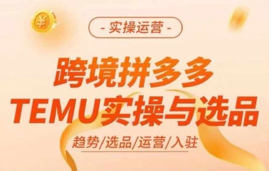 跨境拼多多TEMU实操与选品，多多temu跨境选品运营实操-玩备项目资源网