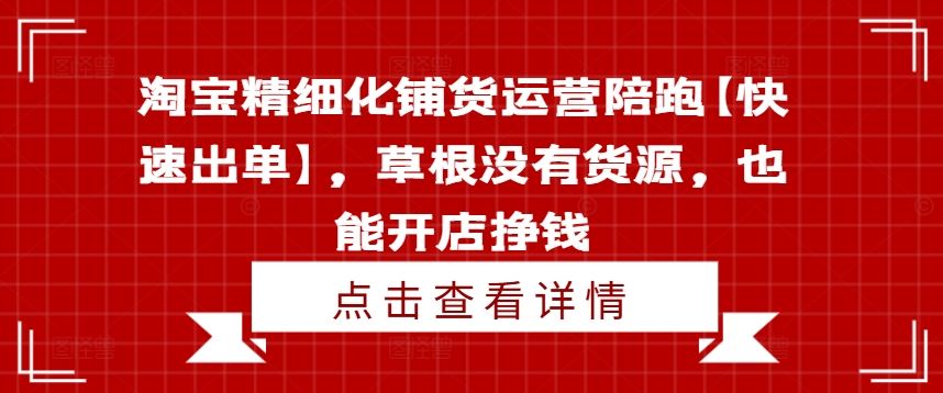 淘宝精细化铺货运营陪跑【快速出单】，草根没有货源，也能开店挣钱-玩备项目资源网