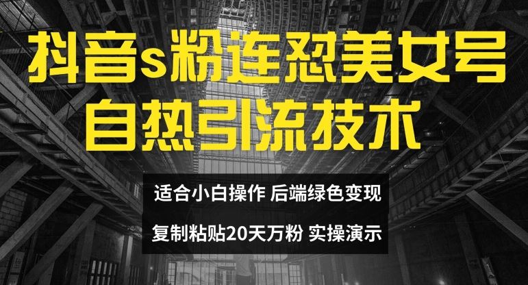抖音s粉连怼美女号自热引流技术复制粘贴，20天万粉账号，无需实名制，矩阵操作【揭秘】-玩备项目资源网