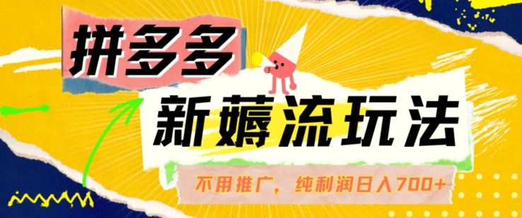拼多多最新薅流玩法，无需开车推广，纯靠自然流吃饭-单纯赚50+利润，日入700+【揭秘】-玩备项目资源网