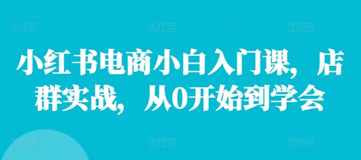 小红书电商小白入门课，店群实战，从0开始到学会-玩备项目资源网