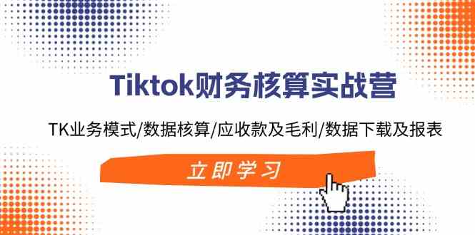 Tiktok财务核算实战营：TK业务模式/数据核算/应收款及毛利/数据下载及报表-玩备项目资源网