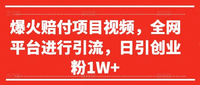 爆火赔付项目视频，全网平台进行引流，日引创业粉1W+【揭秘】-玩备项目资源网
