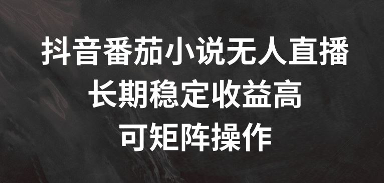 抖音番茄小说无人直播，长期稳定收益高，可矩阵操作【揭秘】-玩备项目资源网