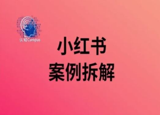 小红书案例拆解，深度解读小红书40万粉-玩备项目资源网