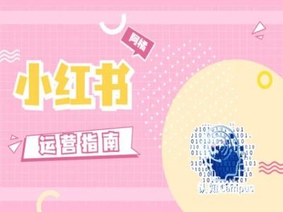 小红书运营指南，没有套路，全是经验-玩备项目资源网