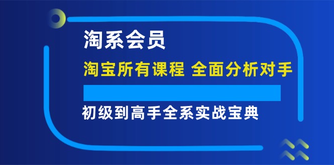 （12055期）淘系会员【淘宝所有课程，全面分析对手】，初级到高手全系实战宝典-玩备项目资源网