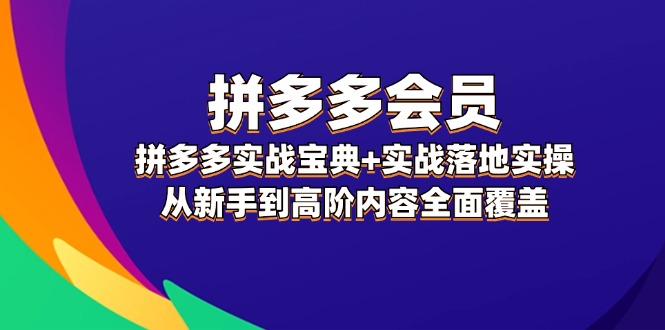 （12056期）拼多多 会员，拼多多实战宝典+实战落地实操，从新手到高阶内容全面覆盖-玩备项目资源网