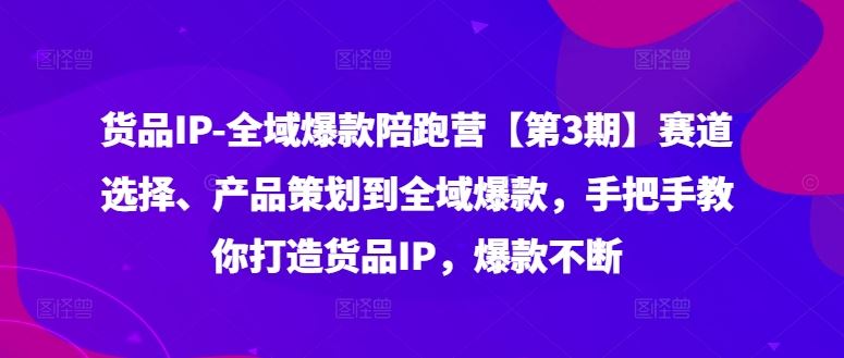 货品IP全域爆款陪跑营【第3期】赛道选择、产品策划到全域爆款，手把手教你打造货品IP，爆款不断-玩备项目资源网
