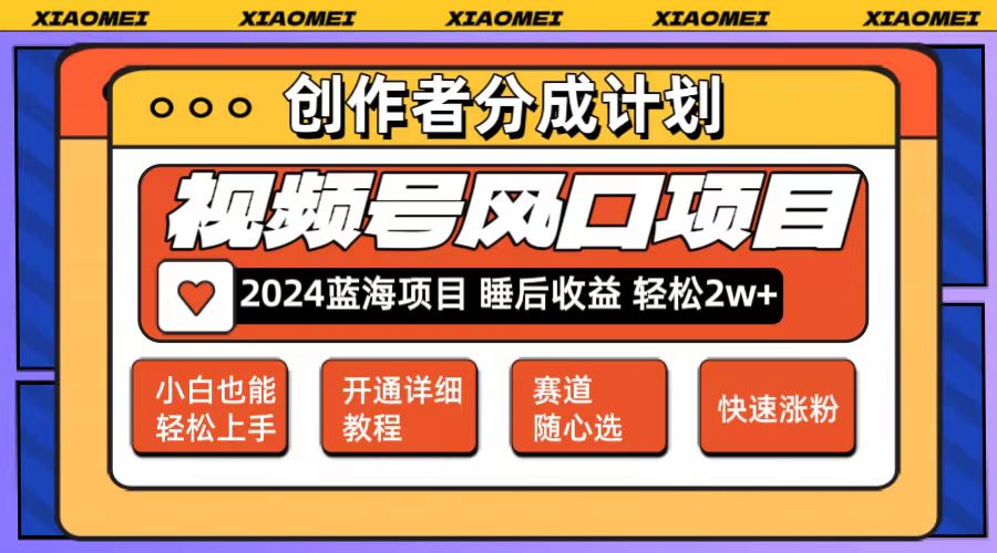 （12084期）微信视频号大风口项目 轻松月入2w+ 多赛道选择，可矩阵，玩法简单轻松上手-玩备项目资源网