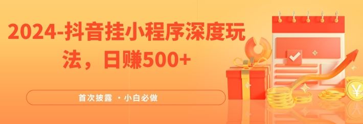 2024全网首次披露，抖音挂小程序深度玩法，日赚500+，简单、稳定，带渠道收入，小白必做【揭秘】-玩备项目资源网