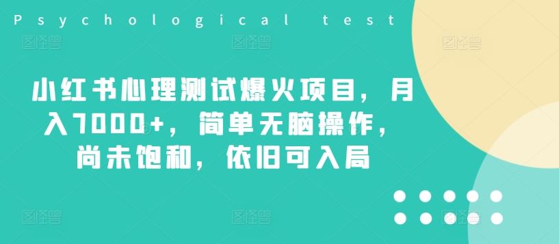 小红书心理测试爆火项目，月入7000+，简单无脑操作，尚未饱和，依旧可入局-玩备项目资源网