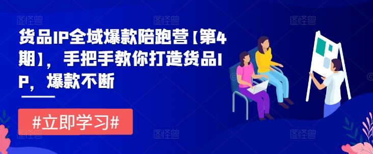 货品IP全域爆款陪跑营【第4期】，手把手教你打造货品IP，爆款不断-玩备项目资源网