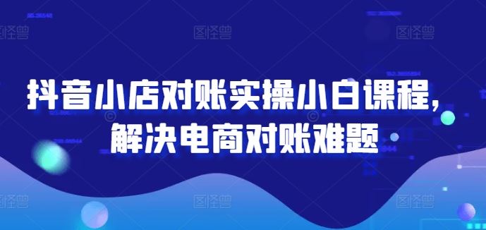 抖音小店对账实操小白课程，解决电商对账难题-玩备项目资源网