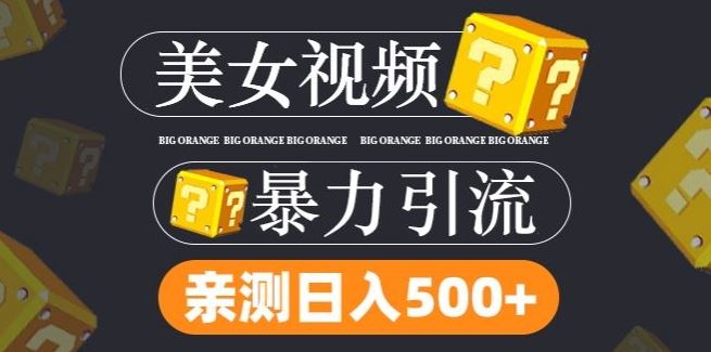 搬运tk美女视频全网分发，日引s粉300+，轻松变现，不限流量不封号【揭秘】-玩备项目资源网