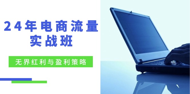 （12168期）24年电商流量实战班：无界 红利与盈利策略，终极提升/关键词优化/精准…-玩备项目资源网