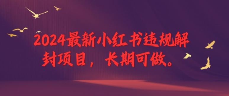 2024最新小红书违规解封项目，长期可做，一个可以做到退休的项目【揭秘】-玩备项目资源网