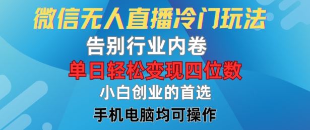 微信无人直播冷门玩法，告别行业内卷，单日轻松变现四位数，小白的创业首选【揭秘】-玩备项目资源网