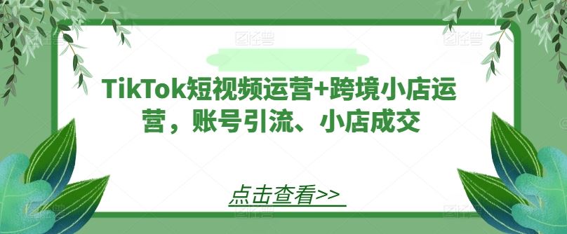 TikTok短视频运营+跨境小店运营，账号引流、小店成交-玩备项目资源网