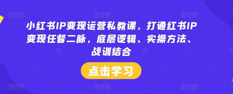 小红书IP变现运营私教课，打通红书IP变现任督二脉，底层逻辑、实操方法、战训结合-玩备项目资源网