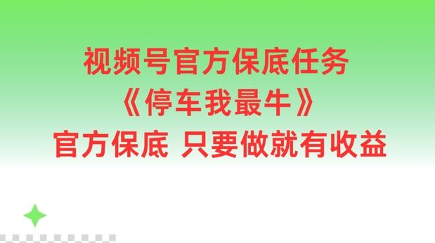 视频号官方保底任务，停车我最牛，官方保底只要做就有收益【揭秘】-玩备项目资源网