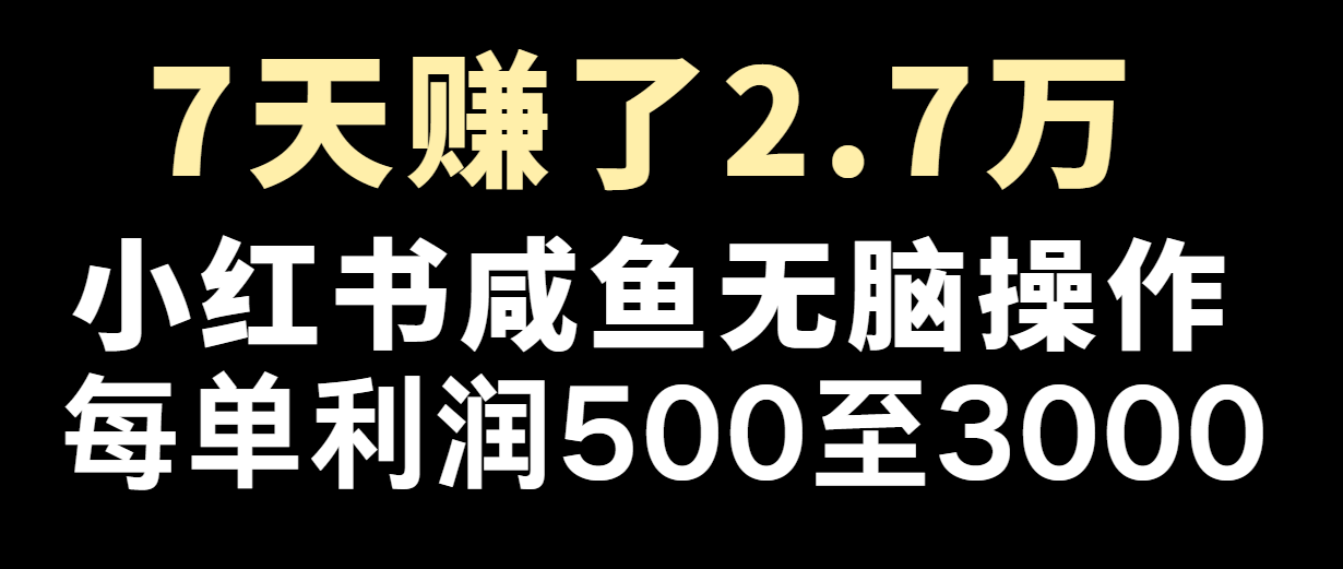 七天赚了2.7万！每单利润最少500+，轻松月入5万+小白有手就行-玩备项目资源网