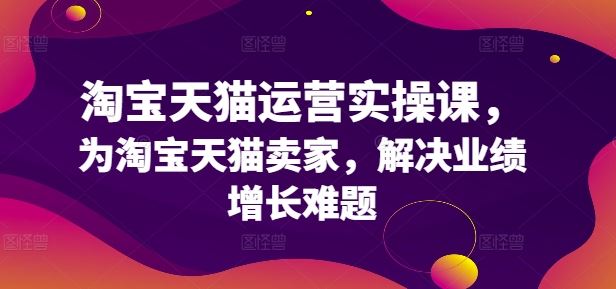 淘宝天猫运营实操课，为淘宝天猫卖家，解决业绩增长难题-玩备项目资源网