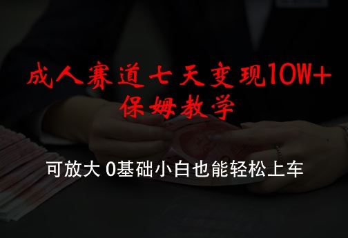 成人赛道七天变现10W+保姆教学，可放大，0基础小白也能轻松上车【揭秘】-玩备项目资源网