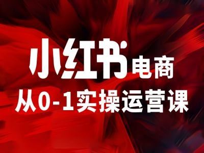 小红书电商从0-1实操运营课，让你从小白到精英-玩备项目资源网