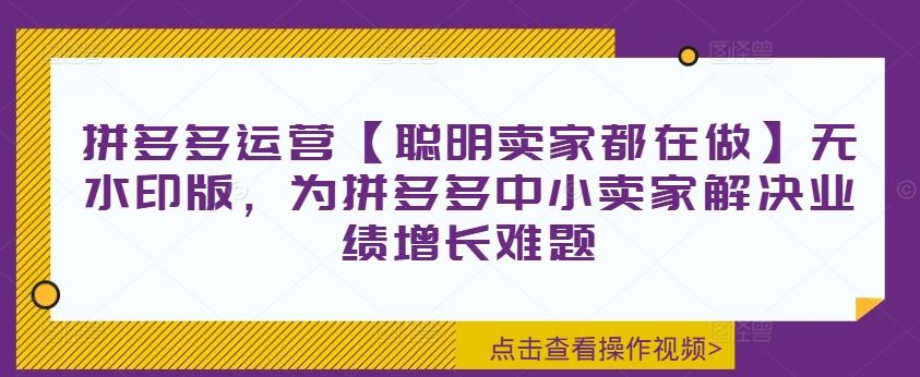 拼多多运营【聪明卖家都在做】无水印版，为拼多多中小卖家解决业绩增长难题-玩备项目资源网