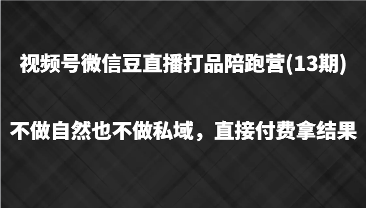视频号微信豆直播打品陪跑(13期)，不做不自然流不做私域，直接付费拿结果-玩备项目资源网