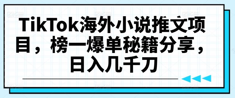 TikTok海外小说推文项目，榜一爆单秘籍分享，日入几千刀-玩备项目资源网