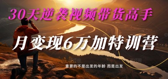 30天逆袭视频带货高手，单月变现6万加特训营-麦子甜-玩备项目资源网