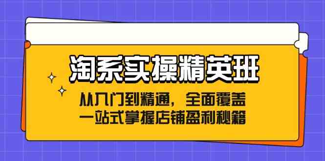 淘系实操精英班：从入门到精通，全面覆盖，一站式掌握店铺盈利秘籍-玩备项目资源网