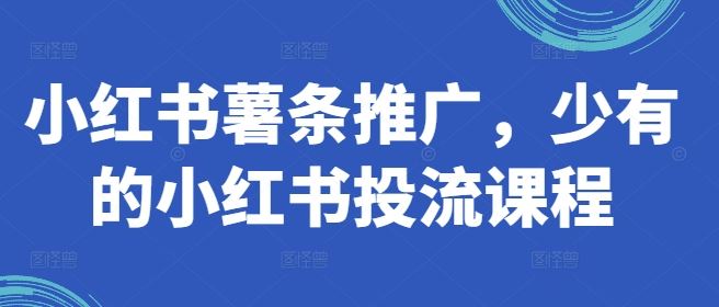 小红书薯条推广，少有的小红书投流课程-玩备项目资源网